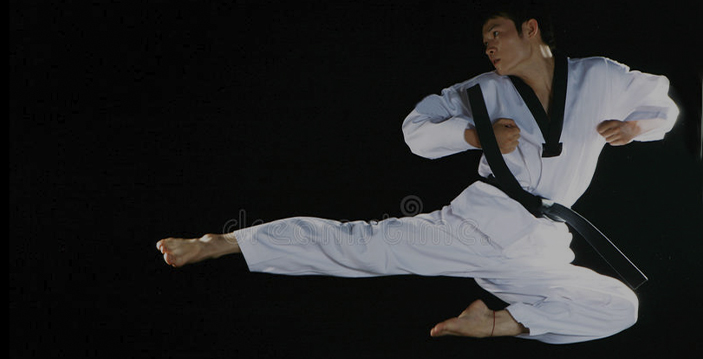 Kæmpe udvalg Taekwondo udstyr