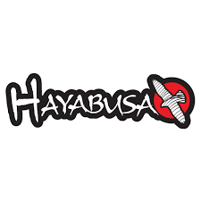 Hayabusa