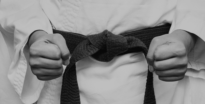 Kung Fu/ Krav Maga/ WT.