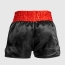 Venum Thai shorts 