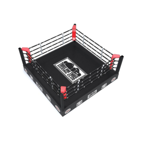 Boksering Tr�ningsring 