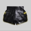 Wicked One Muay Thai Shorts 