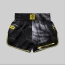 Wicked One Muay Thai Shorts 
