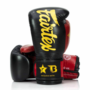 Fairtex Boxningshandskar 