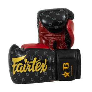 Fairtex Boxningshandskar 
