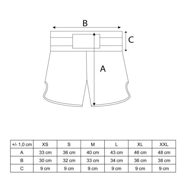 Top Ten Kick-Box Shorts