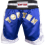 Top Ten Kick-Box Shorts 